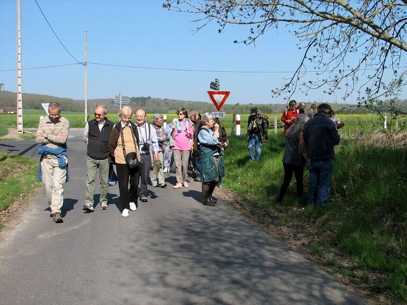 2010 04 Plantes sauvages comestibles 07